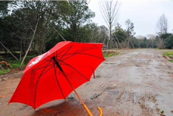 塔罗占卜：图中你最喜欢哪把红雨伞？测你最恐惧发生什么意外