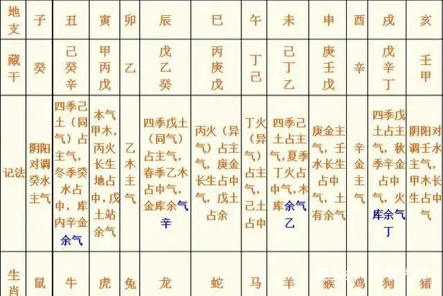 《四柱八字》地支藏干和十神的速记方法与如何确定身旺身弱