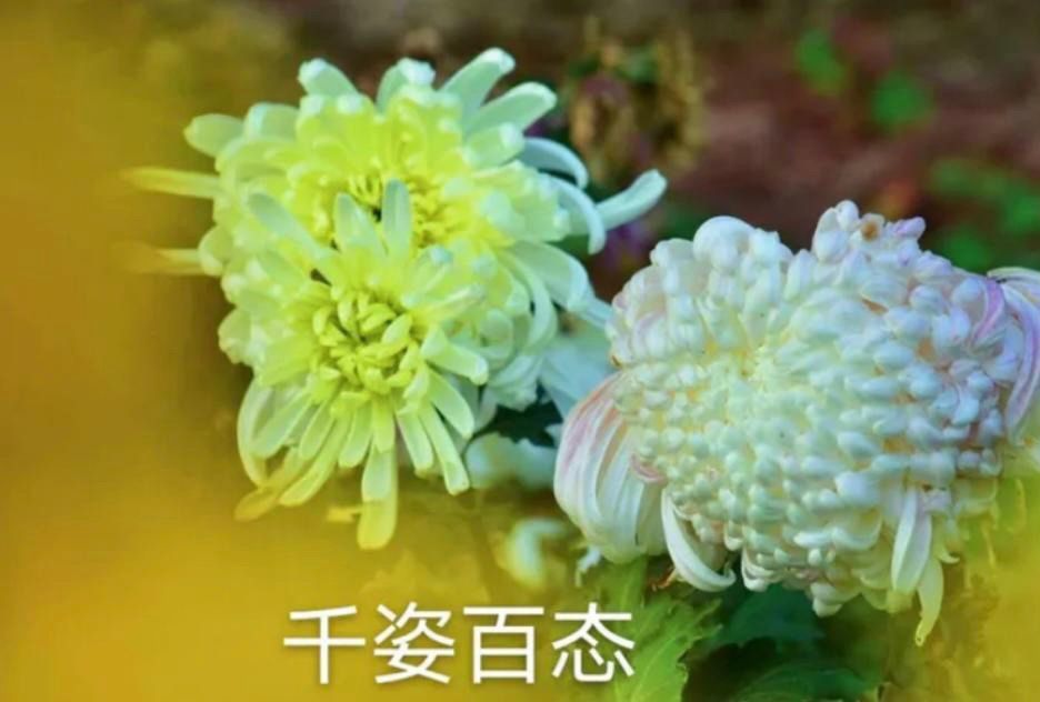 中天易学分享：适合做官的八字——课堂案例《69》