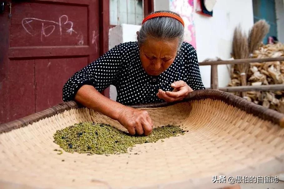 故事：乡村纪事：那些年，为家人“算命”的母亲