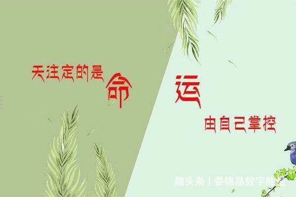 手机号码2888未必就发发发，还有可能误事