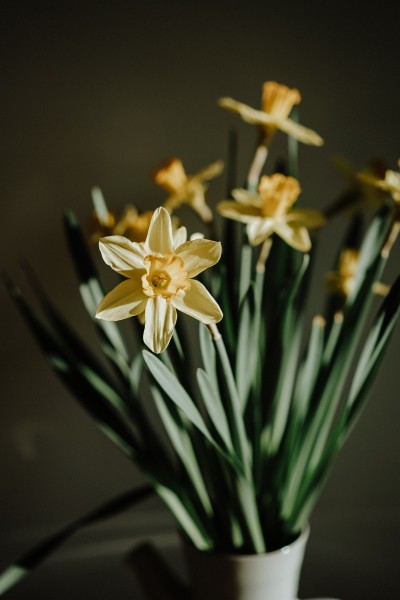 算命的说，1月底，桃花纷飞，这4大生肖爱情美满，将收获甜美姻缘