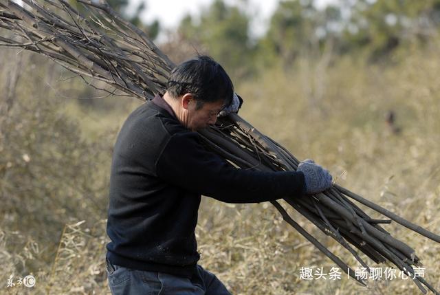 母亲贫穷，送走健康儿子，留下残疾女儿，算命先生：会享子女福分