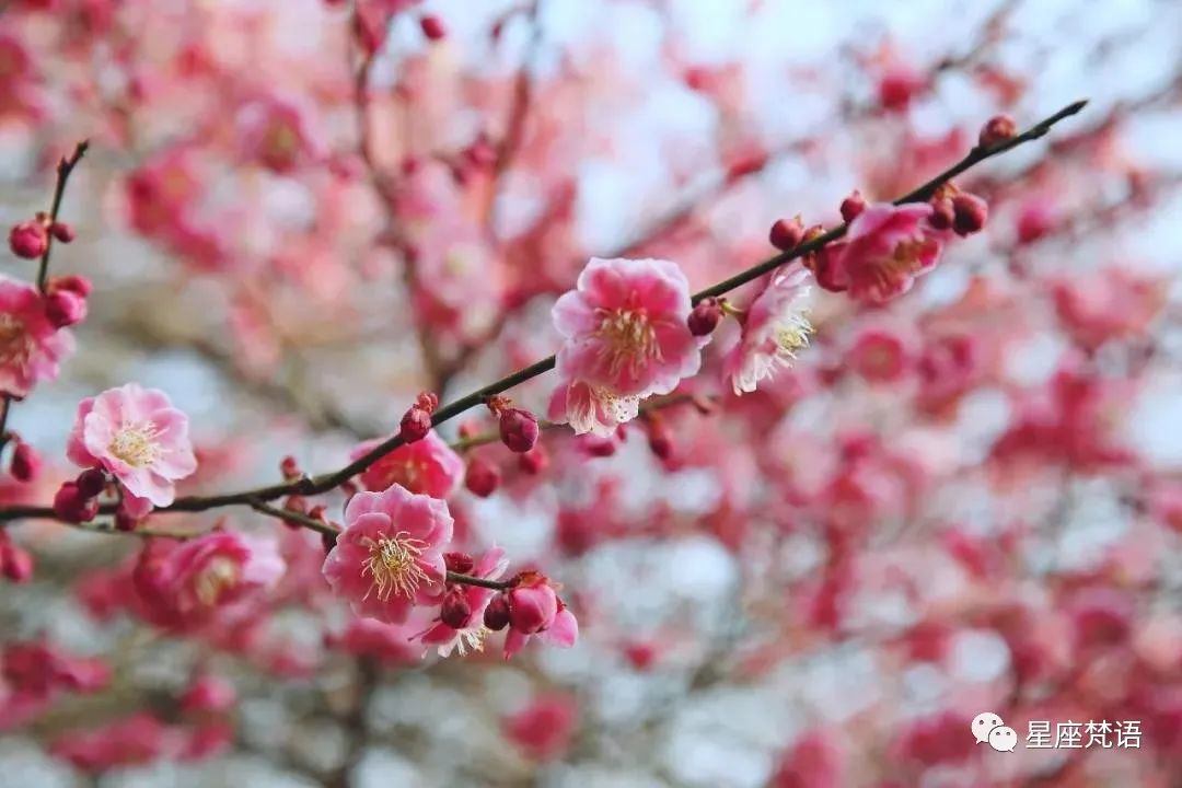 算命的说：11月天天好兆头，4生肖喜事成双、鸿运高照，一声不响要“暴富”