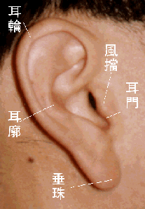 面相学算命图解