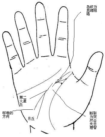 手相之智慧线