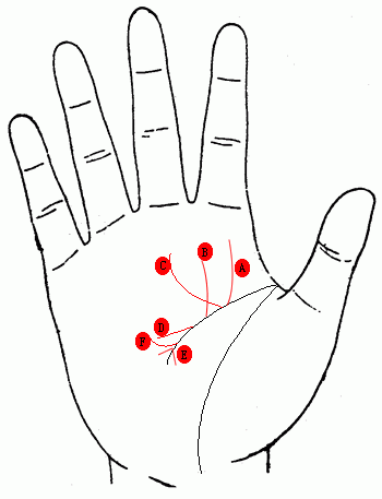 手相解读 －－智慧线