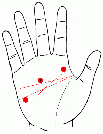 手相解读 －－智慧线