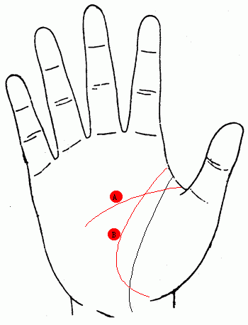 手相解读 －－智慧线