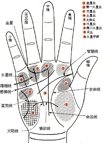 手相算命图解，掌纹看相图解