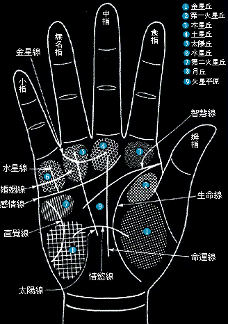 教你从掌纹看健康