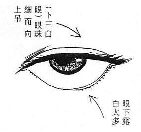 女人面相算命图解(4)