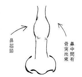 女人面相算命图解(5)