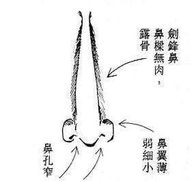 女人面相算命图解(9)