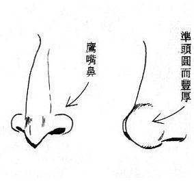 女人面相算命图解(11)