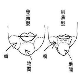 女人面相算命图解(15)