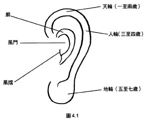 耳朵看相图解