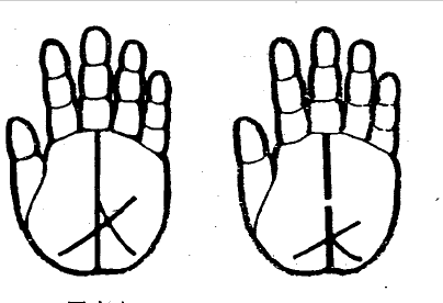 手相没有事业线　难道真的一事无成吗？(9)