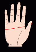 男人断掌手相图解