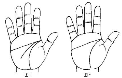 详解断掌纹