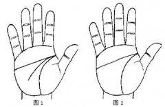 详解断掌纹