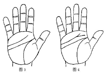 详解断掌纹