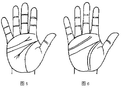 详解断掌纹