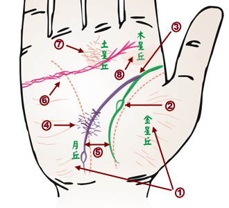 手相看病图解