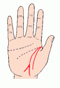 手相图解--生命线图解