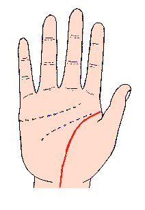 手相图解--生命线图解