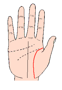 手相图解--生命线图解
