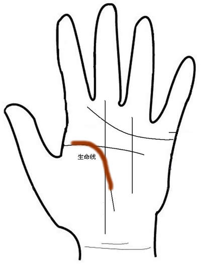 男人手相图解 男人手相算命图解(4)