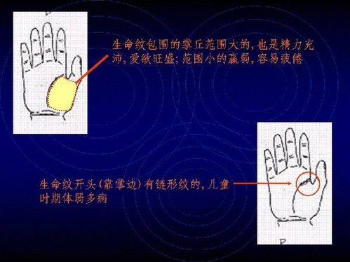 手相算命图解(2)