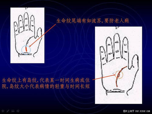 手相算命图解(2)