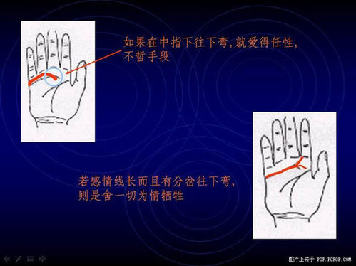 手相算命图解(4)