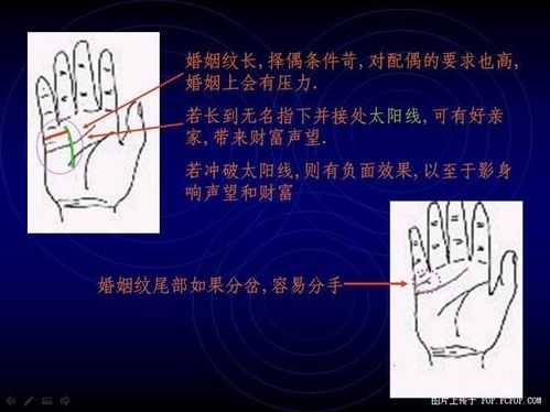 手相算命图解(5)