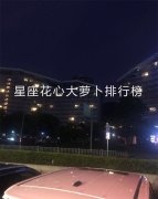 星座花心大萝卜排行榜