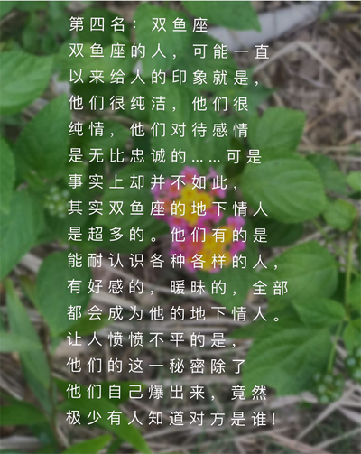 星座花心大萝卜排行榜