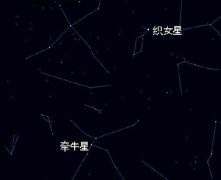 织女星位于哪个星座