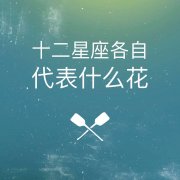 十二星座各代表什么花【5图】